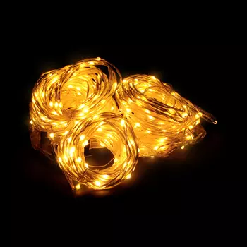 Электрогирлянда Lotti Профессионал 50 м 500 MicroLEDS со стартовым шнуром