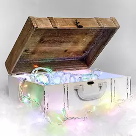 Электрогирлянда Reason уличная 50 LED мультиколор 300/40 см без стартового шнура