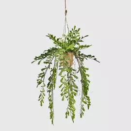 Эсхинантус Конэко-О ампельный искусственный 80 см, ширина 40 см, в подвесном керамическом кашпо 10х10х9 см