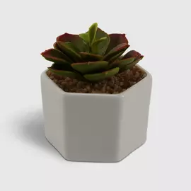 Кактус Koopman в горшке декоративный 6.5x6.5x10 см в ассортименте