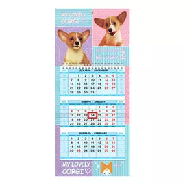 Календарь 3-блочный квартальный Hatber мини "Из жизни корги" на 2021 год