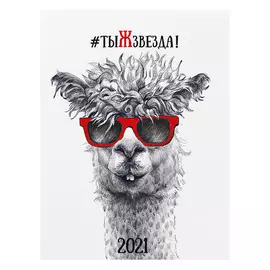 Календарь-домик на спирали ТыЖзвезда на 2021 год