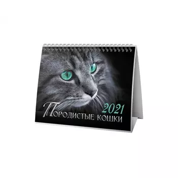 Календарь-домик Породистые кошки на 2021 год