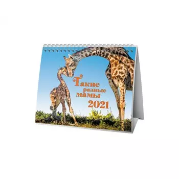 Календарь-домик Такие разные мамы на 2021 год