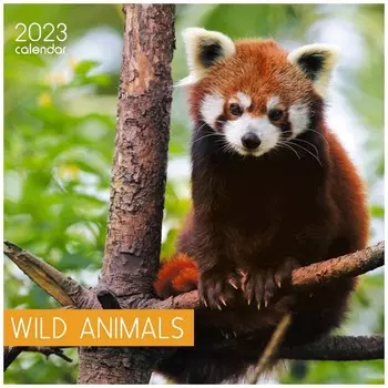 Календарь Канц-Эксмо Дикие Животные Скрепка 12 Листов 2023 год