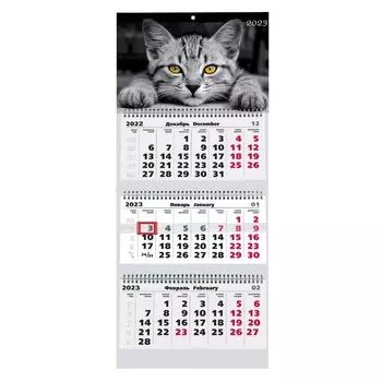 Календарь Канц-Эксмо Домашние любимцы 3 Трехблочный 2023 год