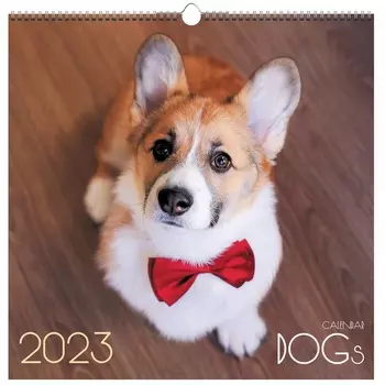 Календарь Канц-Эксмо Домашние любимцы 4 Евроспираль 320х320 мм 2023 год