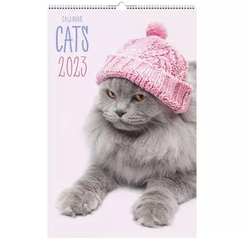 Календарь Канц-Эксмо Домашние любимцы Евроспираль 280х435 мм 2023 год