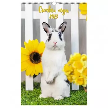 Календарь Канц-Эксмо Символ Года 1 Евроспираль 280х435 мм 2023 год