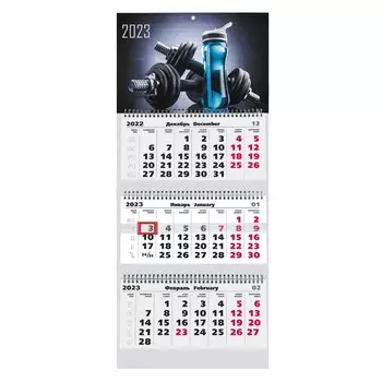 Календарь Канц-Эксмо Stay Healthy Трехблочный 2023 год