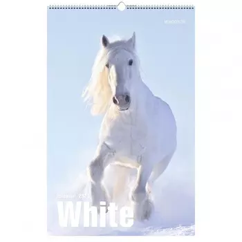 Календарь Канц-Эксмо White Евроспираль 280х435 мм 2023 год
