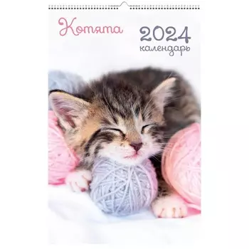 Календарь на 2024 Канц-Эксмо 28х43 домашние любимцы котята