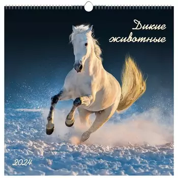 Календарь на 2024 Канц-Эксмо 32х32 в мире дикой природы