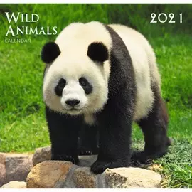 Календарь настенный перекидной Дикие животные (дизайн 2) на 2021 год
