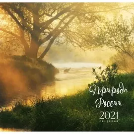 Календарь настенный перекидной Природа (дизайн 1) на 2021 год