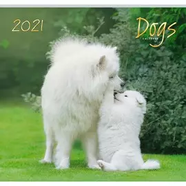 Календарь одноблочный Домашние любимцы (дизайн 1) на 2021 год