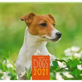 Календарь одноблочный Домашние любимцы (дизайн 2) на 2021 год