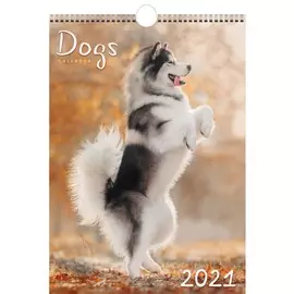 Календарь одноблочный малый Домашние любимцы (дизайн 1) на 2021 год