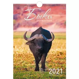 Календарь одноблочный малый Символ года (дизайн 2) на 2021 год