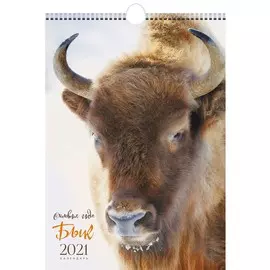 Календарь одноблочный малый Символ года (дизайн 3) на 2021 год