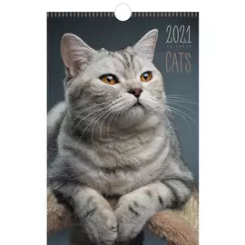 Календарь одноблочный средний Домашние любимцы (дизайн 1) на 2021 год