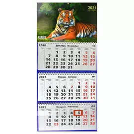 Календарь трехблочный Дикие животные на 2021 год
