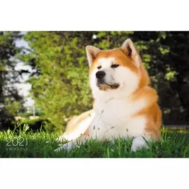 Календарь трехблочный Домашние любимцы (дизайн 2) на 2021 год