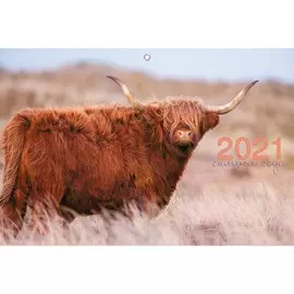 Календарь трехблочный Символ года (дизайн 1) на 2021 год