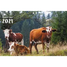 Календарь трехблочный Символ года (дизайн 2) на 2021 год