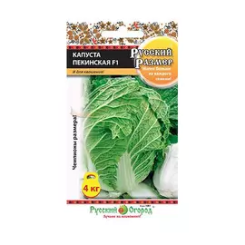Капуста пекинская Русский огород русский размер F1