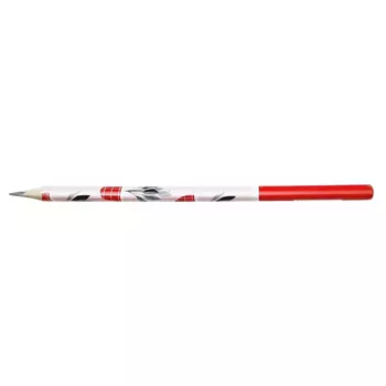 Карандаш чернографитный Be Smart, HB цветы в горшке, трехгранный, заточенный