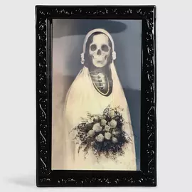 Картина Long Cheng Yiwu City портрет невесты