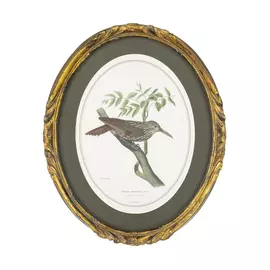 Картина Glasar в овальной позолоченной раме Птица, 23x2x28 см
