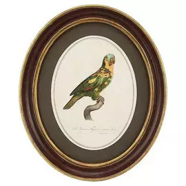 Картина в раме Glasar 25x3x30см