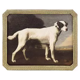 Картина в прямоугольной раме Glasar, большая белая собака, масло, 14x2x19 см