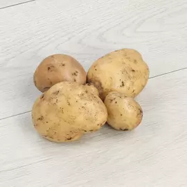 Картофель белый