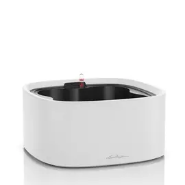 Кашпо Lechuza pila 35x35x17см светло-серое с автополивом