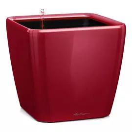 Кашпо с автополивом Lechuza Quadro LS 28 см Бордовое