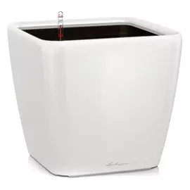 Кашпо с автополивом Lechuza Quadro LS 35 см Белое