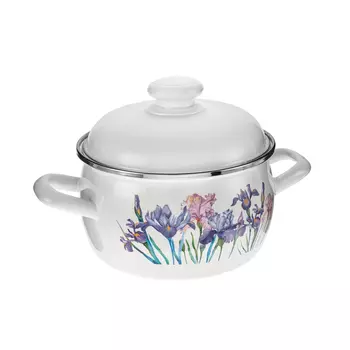 Кастрюля эмалированная Hitt Ирисы 2 л