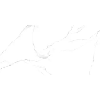 Керамогранит матовый Alma Ceramica Carrara 60X120 см