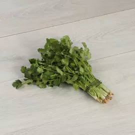 Кинза свежая