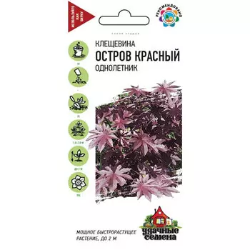Клещевина Гавриш Остров Красный 5 шт. Удачные семена