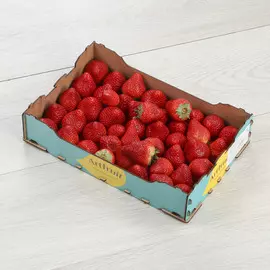 Клубника Art Fruit 1 кг