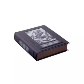 Книга Best Gift Ш. Руставели. Витязь в тигровой шкуре