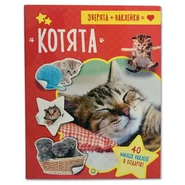 Книжка Лабиринт Зверята + наклейки. Котята