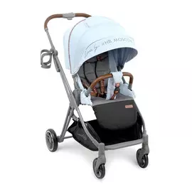 Коляска прогулочная Luna blue