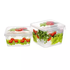 Комплект емкостей для продуктов Giaretti "Браво Овощи" 0,45 л + 0,75 л