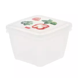 Комплект контейнеров Phibo fresco 1.0лх2шт.