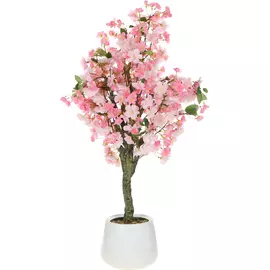 Композиция цветов в горшке Конэко-о Персик розовый